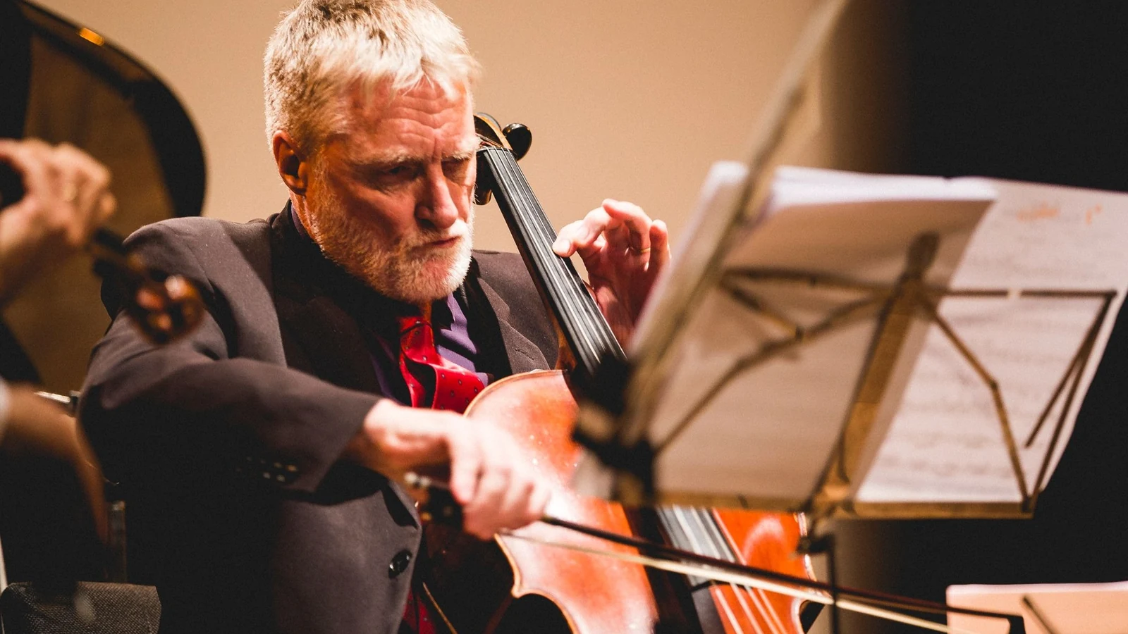 rio cello leva concertos gratuitos a igrejas e theatro municipal featured