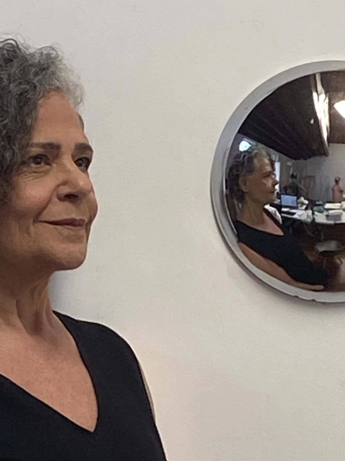 Suely Farhi ocupa cinco galerias do CCJF com mostra As Palavras