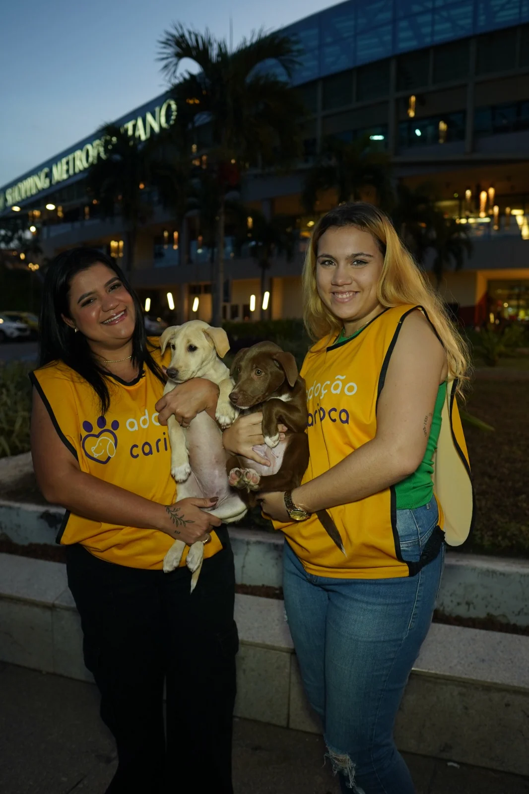 Adoção responsável reúne cães e gatos em busca de um lar na Zona Oeste