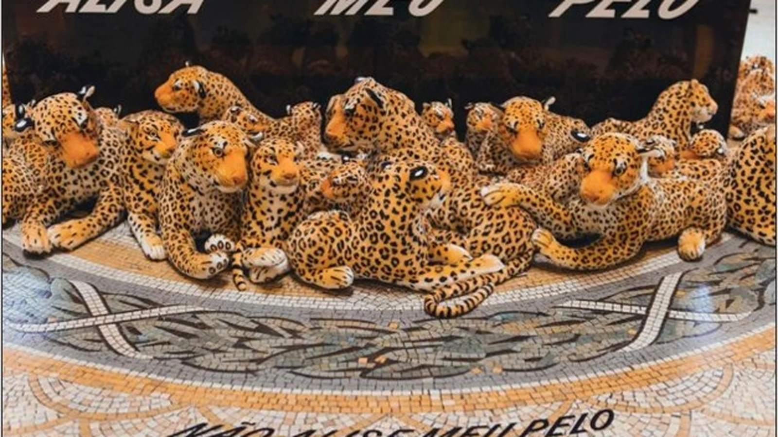 CCBB RJ recebe primeira grande exposição dedicada aos memes no Brasil ccbb rj recebe primeira grande exposicao dedicada aos memes no brasil featured