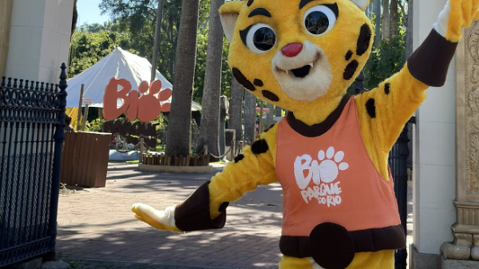 criancas acompanham rotina de cuidadores no bioparque do rio featured