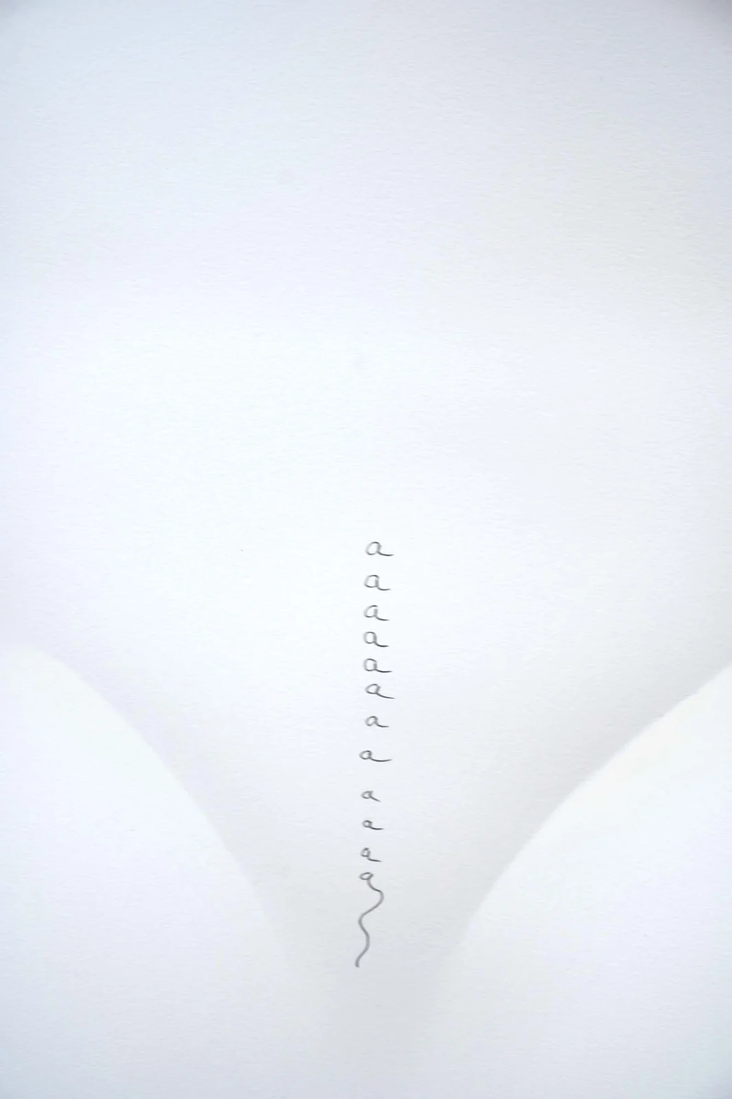 Exposição As Palavras no CCJF promove debate gratuito sobre arte e corpo