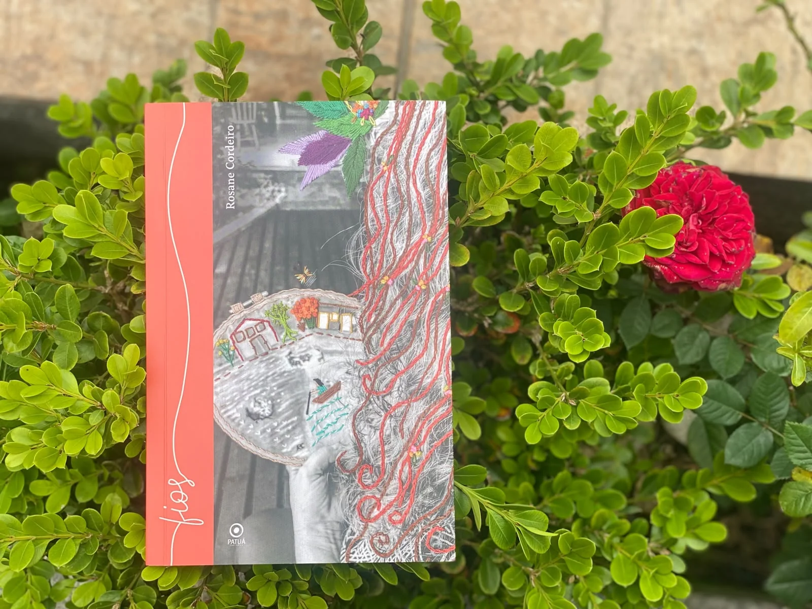 Livro transforma cicatrizes e envelhecimento feminino em poesia