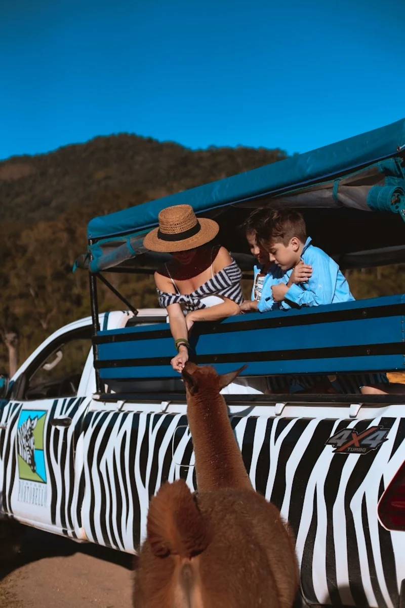 Portobello Resort & Safári une safári ecológico e shows para o Réveillon
