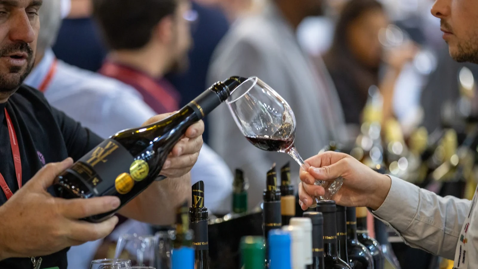 vinhos de portugal reunem 28 produtores na prowine sao paulo 2026 featured